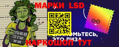 прущие грибы Кандалакша