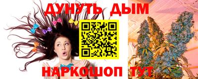 прущие грибы Кандалакша