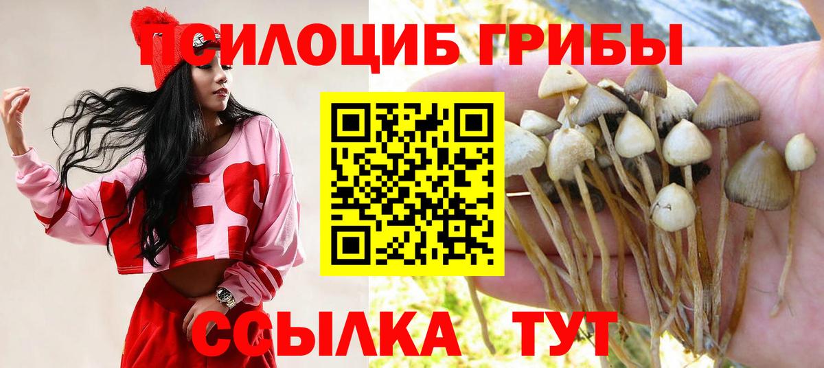 Краснокаменск  Псилоцибиновые грибы мицелий  Галлюциногенные грибы Magic Shrooms  Вход с VPN 