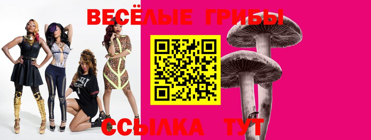 Псилоцибиновые грибы Psilocybe Краснокаменск
